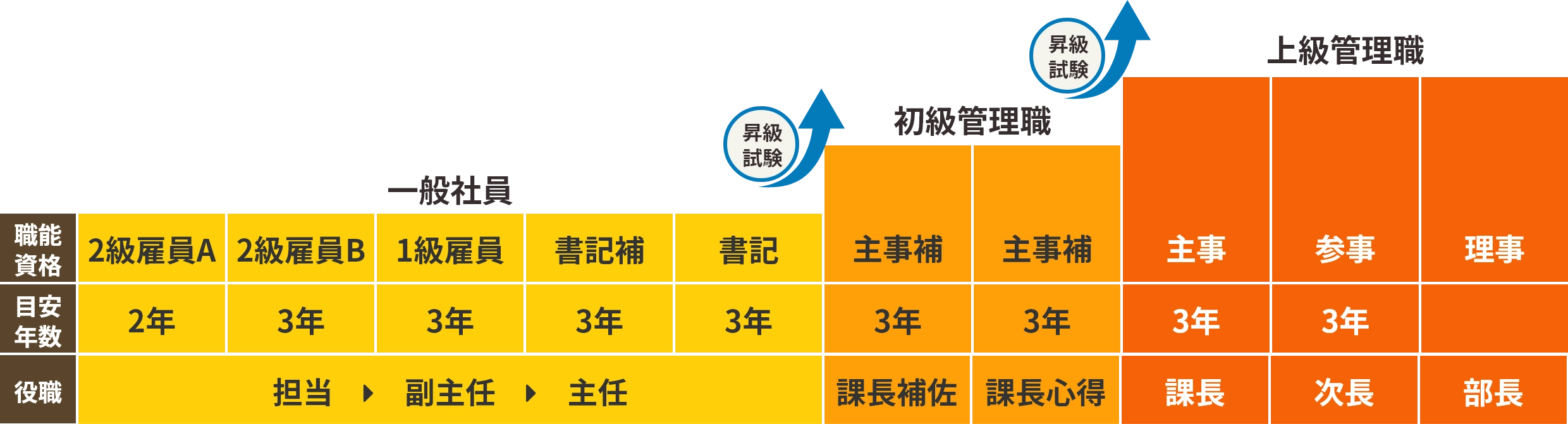 一般社員（担当⇒副主任⇒主任）、初級管理職（課長補佐、課長心得）、上級管理職（課長⇒次長⇒部長）